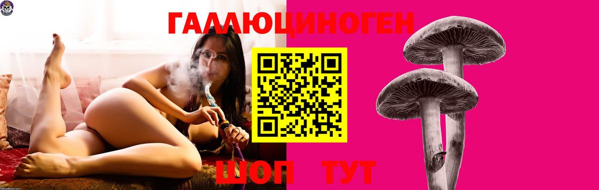 Псилоцибиновые грибы мухоморы Комсомольск-на-Амуре